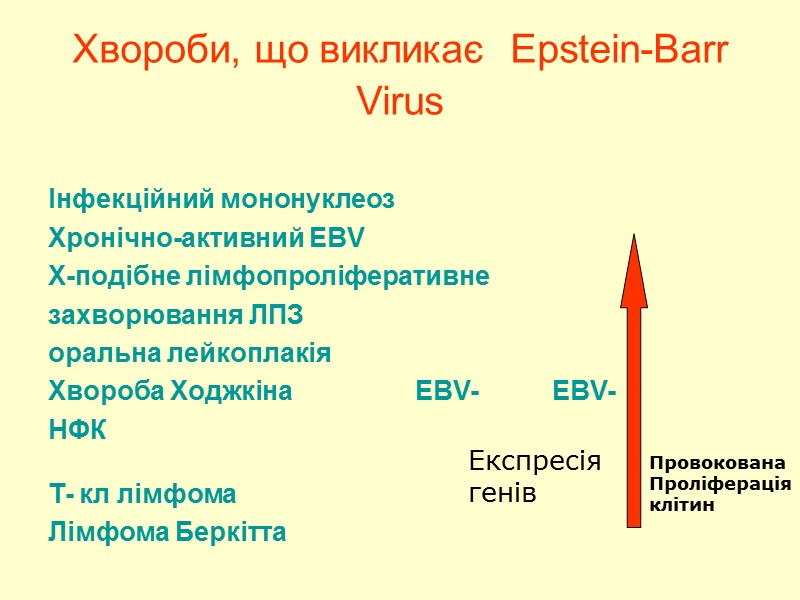 Хвороби, що викликає  Epstein-Barr Virus        